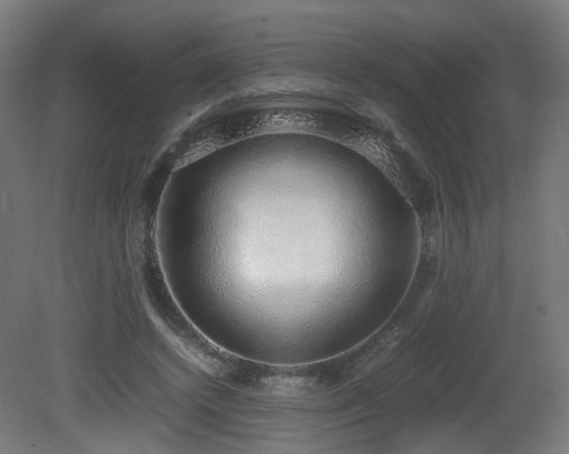X0000081350448200701111459
