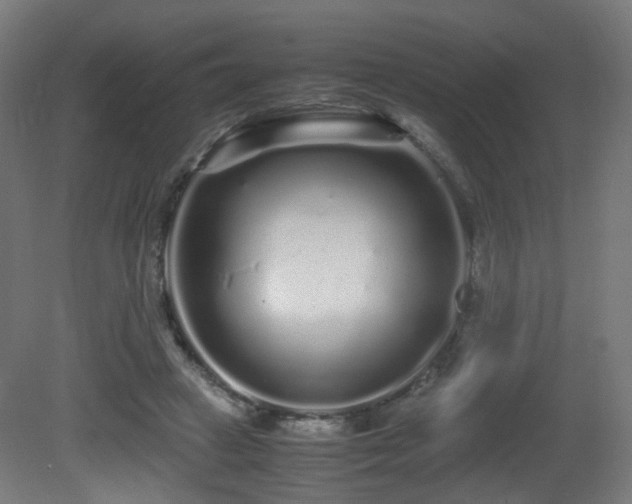 X0000081350449200701111459
