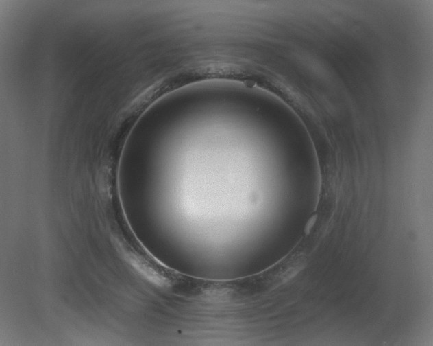 X0000081350450200701111459