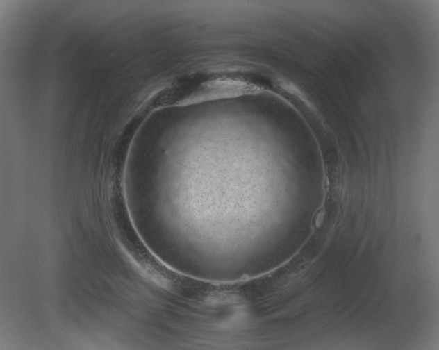 X0000081350451200701111459
