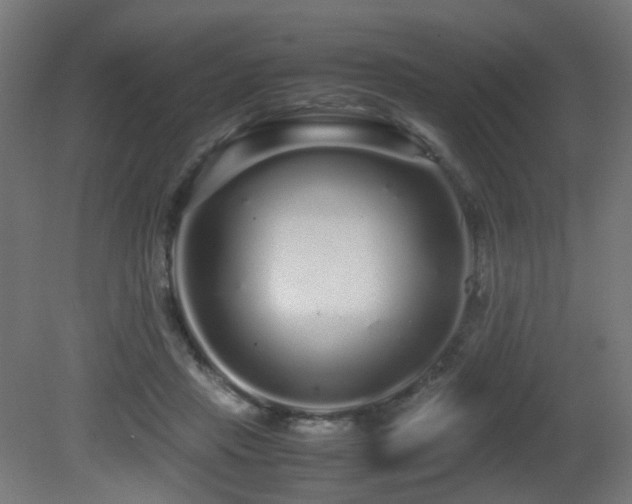 X0000081350453200701111459