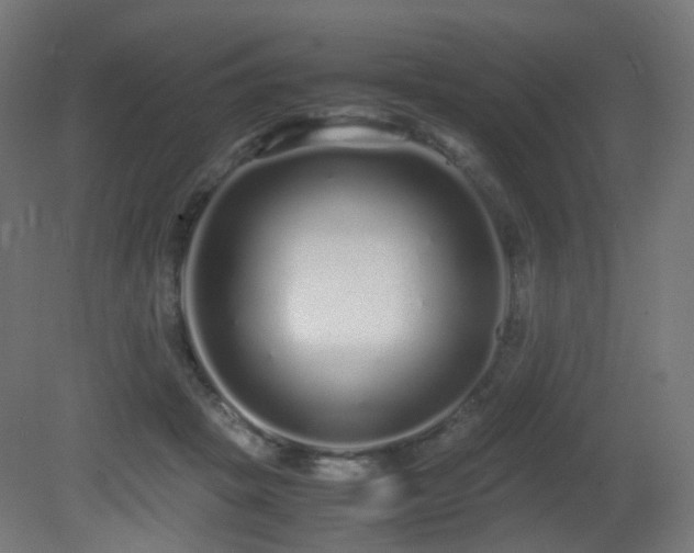 X0000081350457200701111459