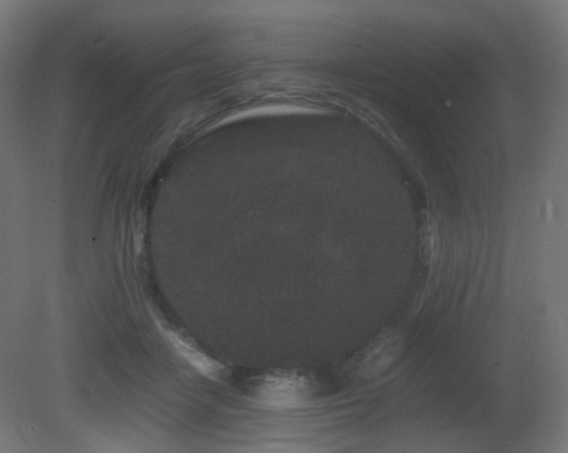 X0000081350458200701111459