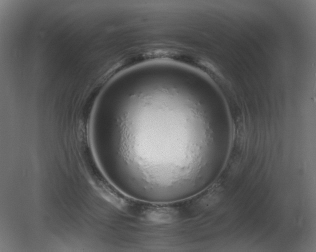 X0000081350459200701111459