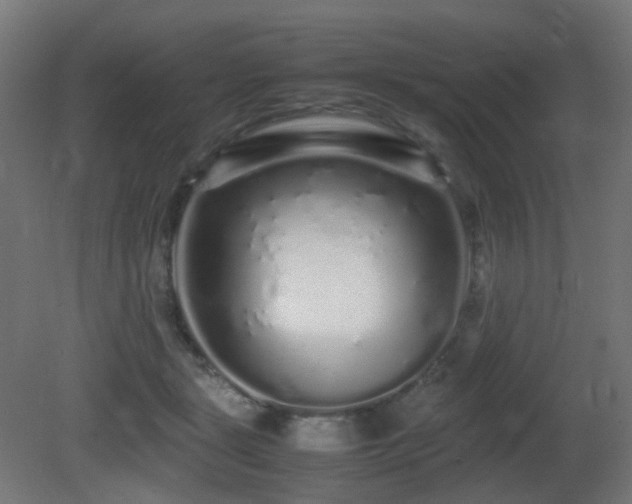 X0000081350461200701111459