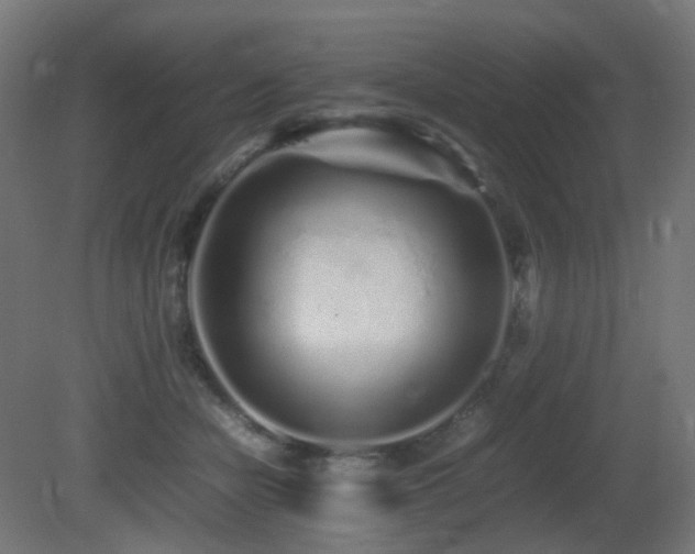 X0000081350462200701111459