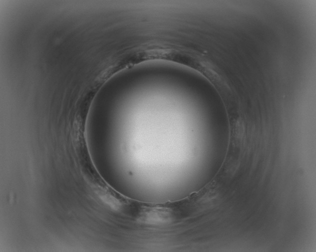 X0000081350463200701111459