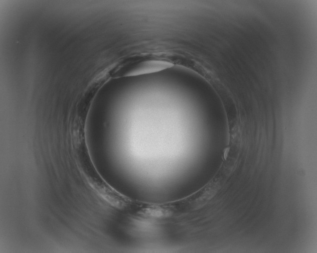X0000081350464200701111459