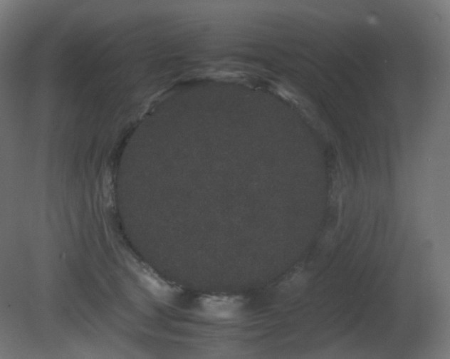 X0000081350465200701111459