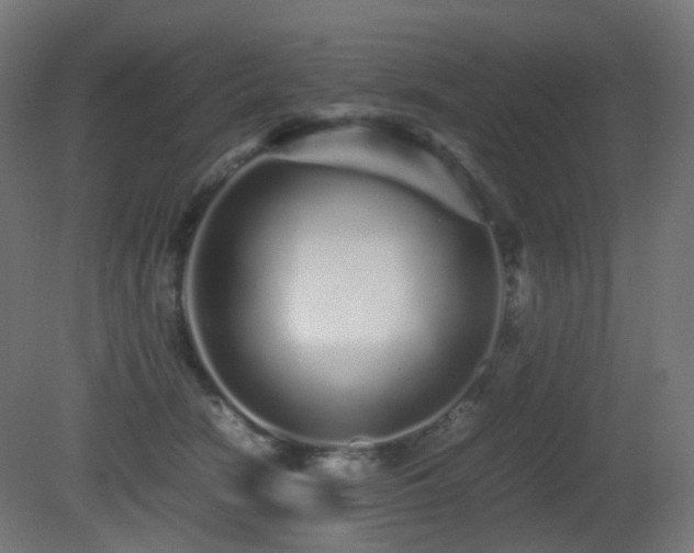 X0000081350466200701111500