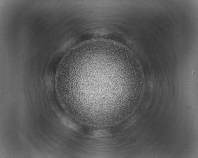 X0000081350468200701111500