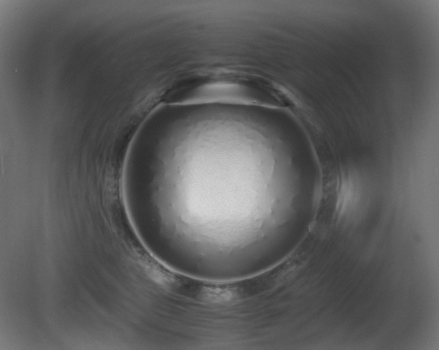X0000081350469200701111500
