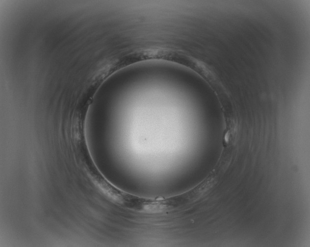 X0000081350470200701111500