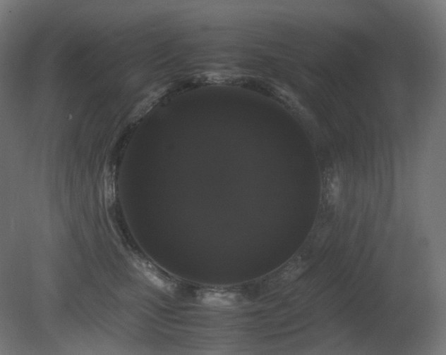 X0000081350471200701111500