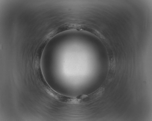 X0000081350474200701111500