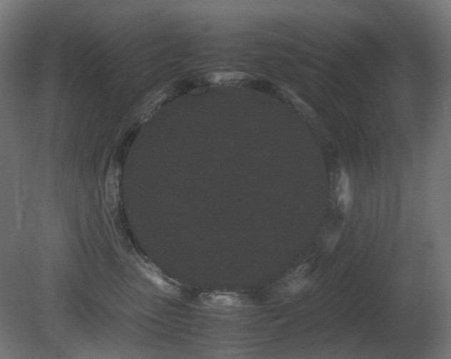 X0000081350475200701111500