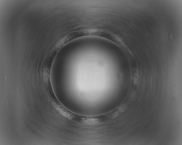 X0000081350476200701111500