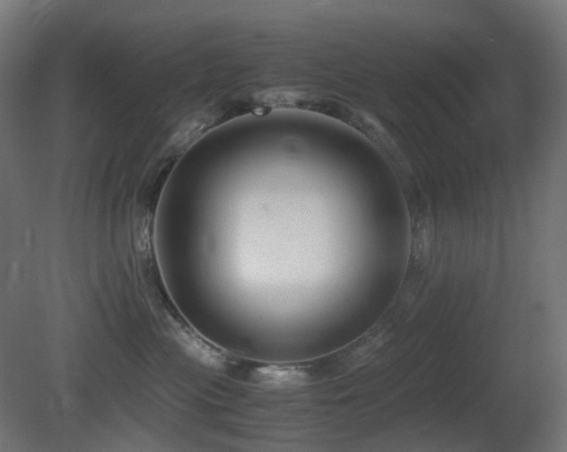 X0000081350477200701111500
