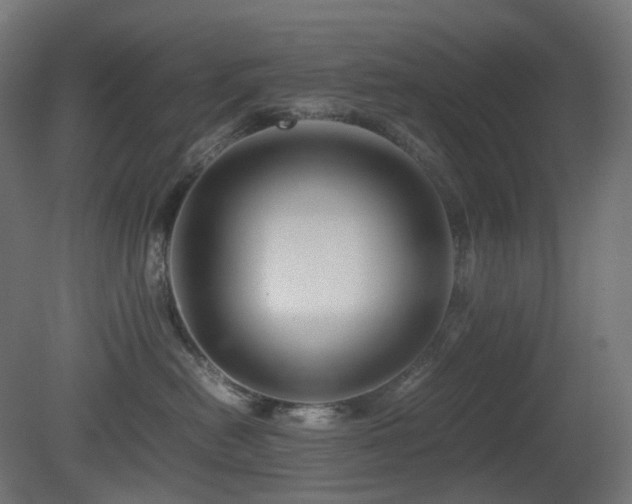X0000081350478200701111500