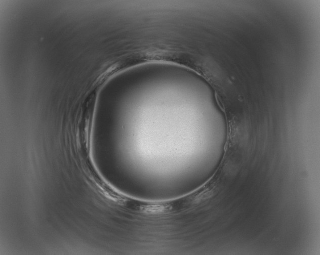 X0000081350479200701111500