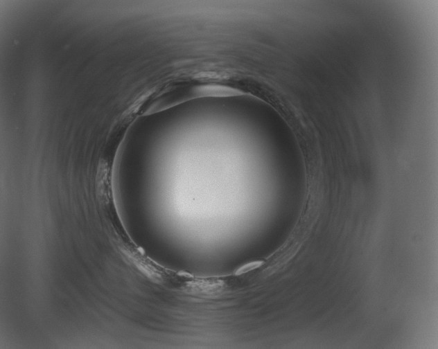 X0000081350480200701111500