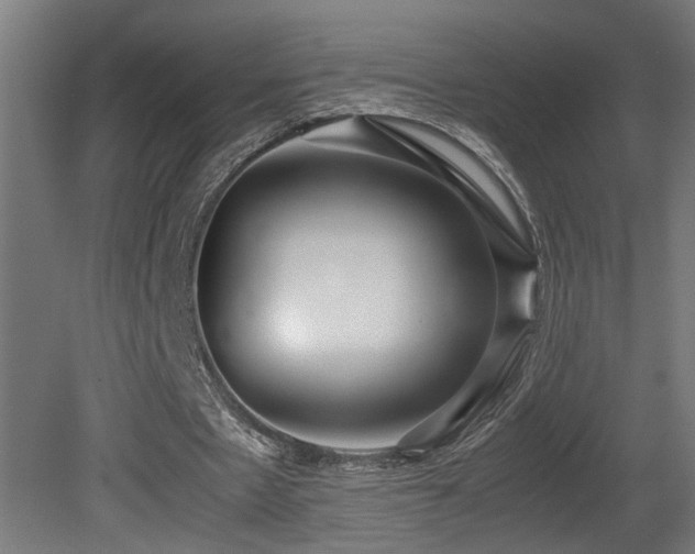 X0000081350481200701111459