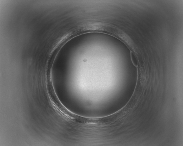 X0000081350482200701111459