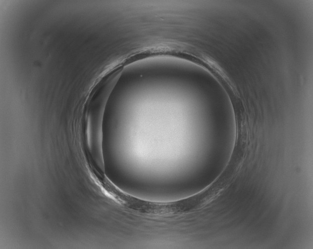 X0000081350485200701111459