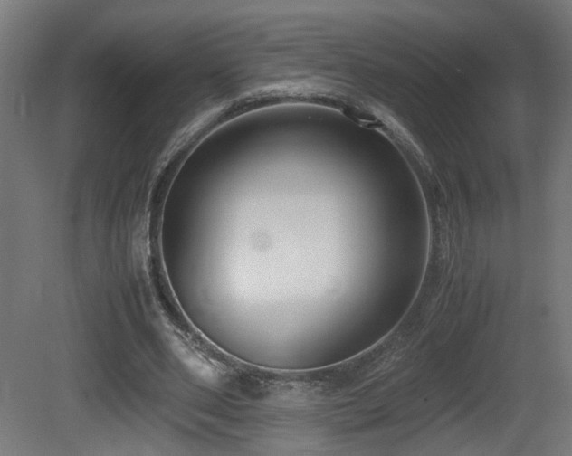 X0000081350486200701111459