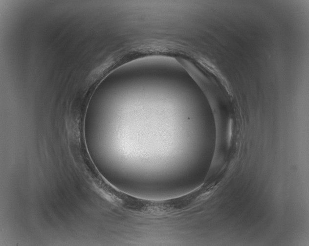 X0000081350489200701111459