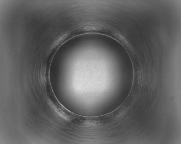 X0000081350490200701111459