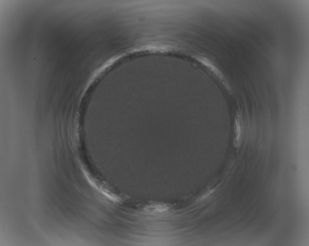 X0000081350492200701111459