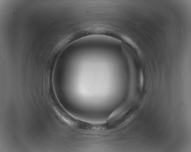X0000081350493200701111459