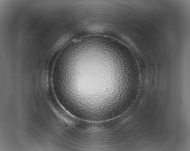 X0000081350494200701111459