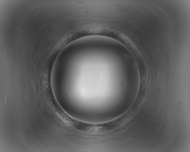 X0000081350497200701111459