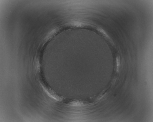 X0000081350500200701111459