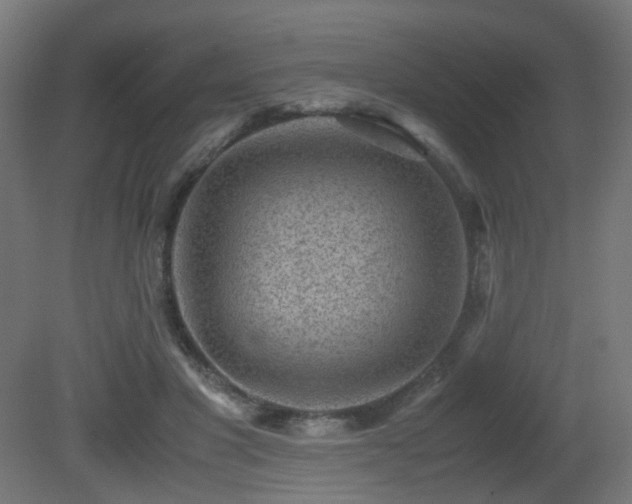 X0000081350501200701111459