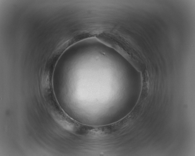 X0000081350502200701111459