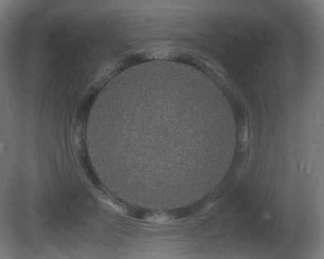 X0000081350503200701111459