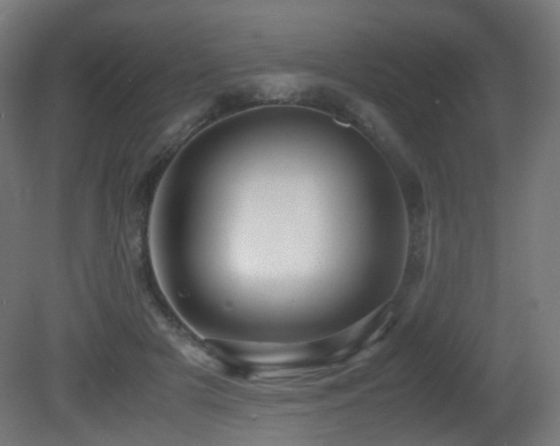 X0000081350505200701111459