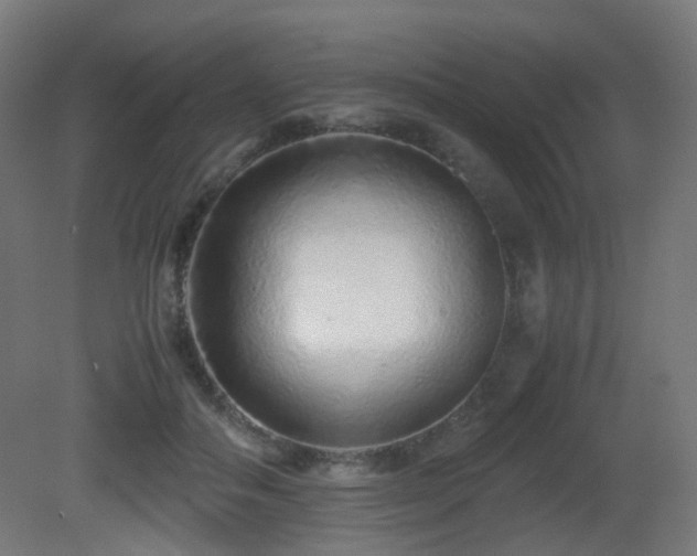 X0000081350506200701111459