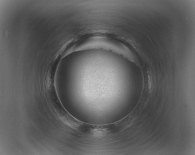 X0000081350508200701111458
