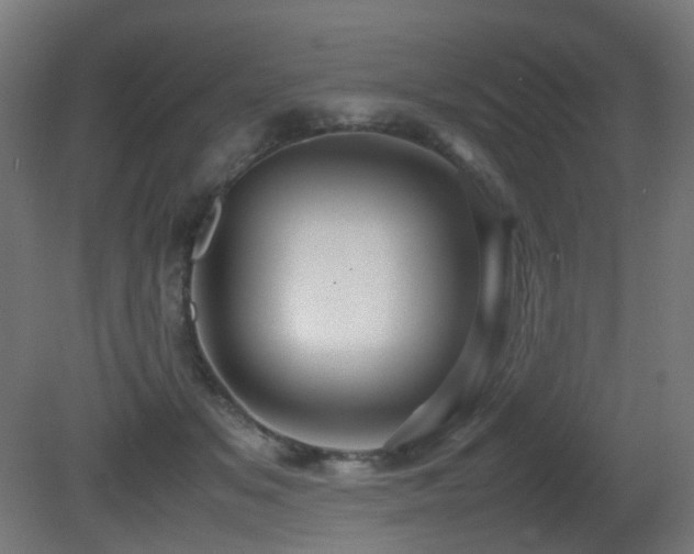 X0000081350509200701111458