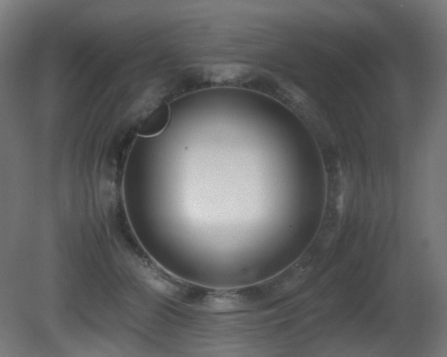 X0000081350510200701111458