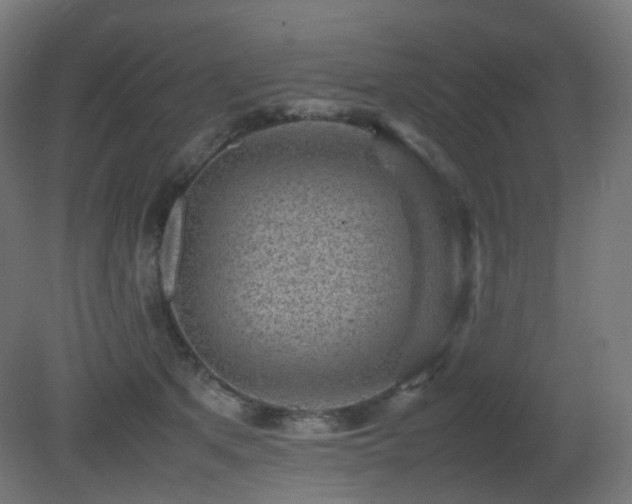 X0000081350513200701111458