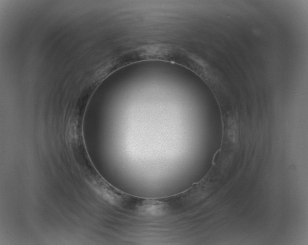 X0000081350514200701111458