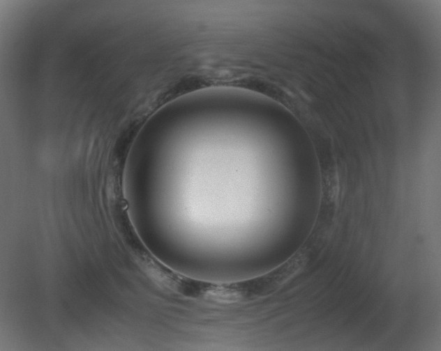 X0000081350515200701111458