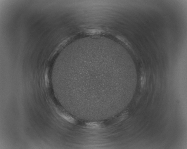 X0000081350516200701111458