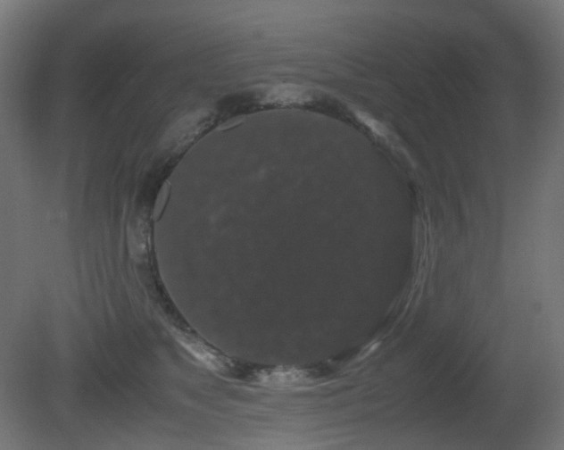 X0000081350517200701111458