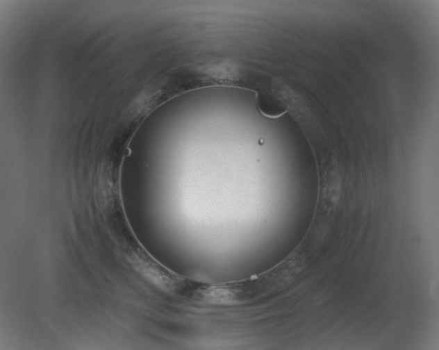 X0000081350518200701111458